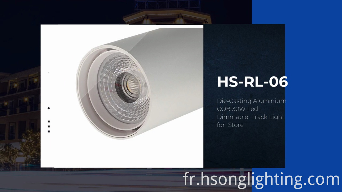 HS-RL-06.Die-casting aluminium .cob 30W LED. Lumière de piste dixcratique. Pour le magasin.